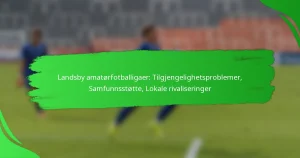 Landsby amatørfotballigaer: Tilgjengelighetsproblemer, Samfunnsstøtte, Lokale rivaliseringer