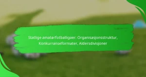 Statlige amatørfotballigaer: Organisasjonsstruktur, Konkurranseformater, Aldersdivisjoner