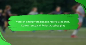Veteran amatørfotballigaer: Alderskategorier, Konkurranseånd, Fellesskapsbygging