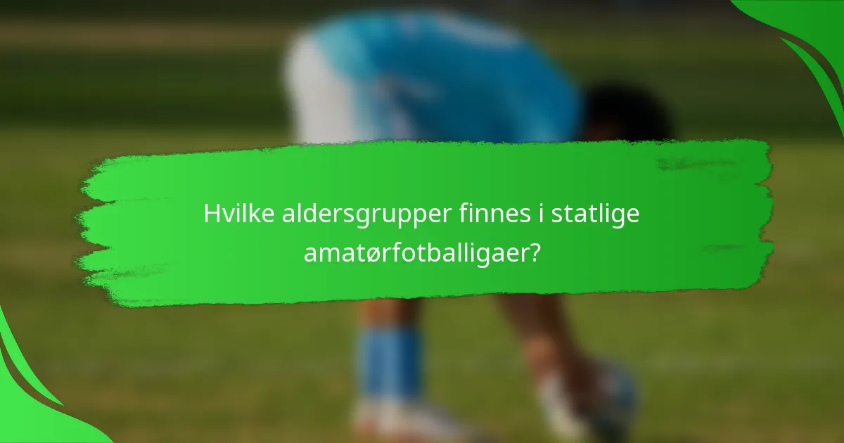 Hvilke aldersgrupper finnes i statlige amatørfotballigaer?
